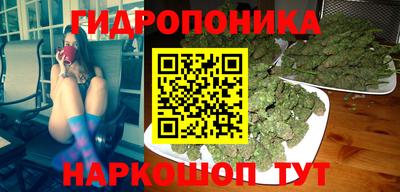 гашик Боровичи