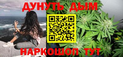 гашик Боровичи