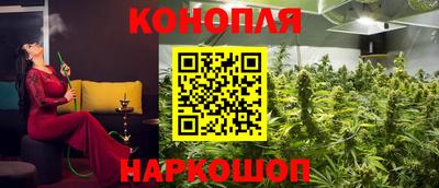гашик Боровичи