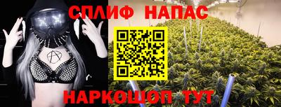 гашик Боровичи