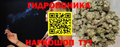 мдпв Брянск