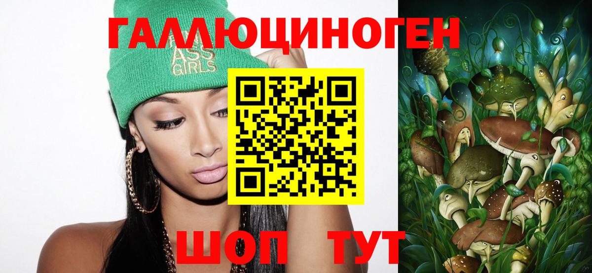 Псилоцибиновые грибы мицелий Кстово