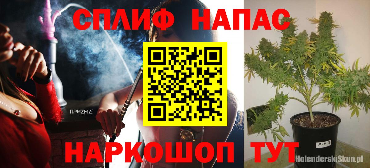 Конопля Bruce Banner  Бошки Шишки VHQ  Вход с VPN  Кстово  Бошки Шишки ГИДРОПОН 